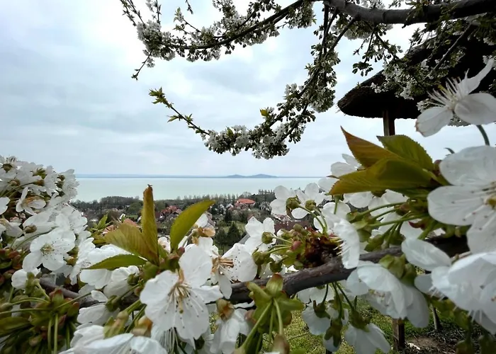 Panorama * Badacsonytomaj